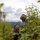 1st ANGLICO supports Exercise Distant Frontier 1st ANGLICO supports Exercise Distant Frontier