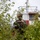 1st ANGLICO supports Exercise Distant Frontier 1st ANGLICO supports Exercise Distant Frontier