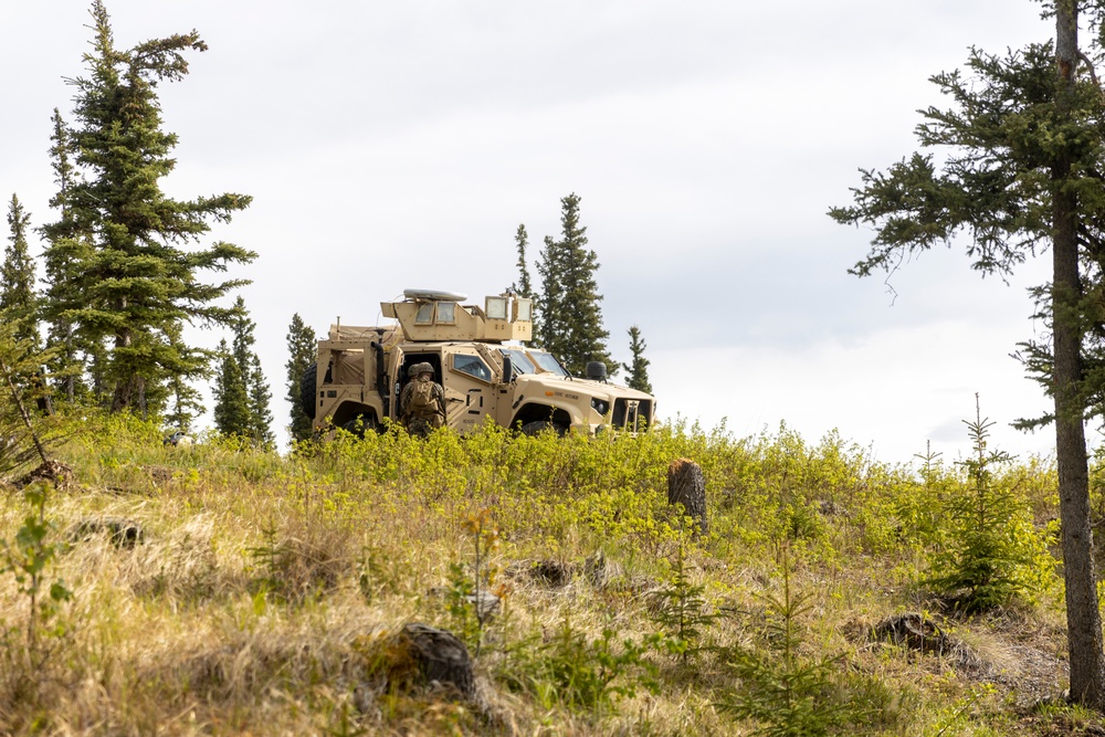 1st ANGLICO supports Exercise Distant Frontier