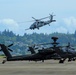 943d Rescue Group HH-60G Pave Hawk helicopter flies over U.S. Army Apache helicopters