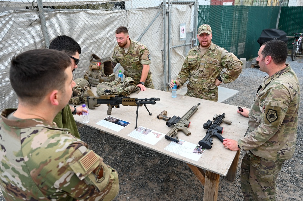 Danish Coalition Partners at the Rock