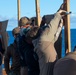 Small-Arms Gunshoot