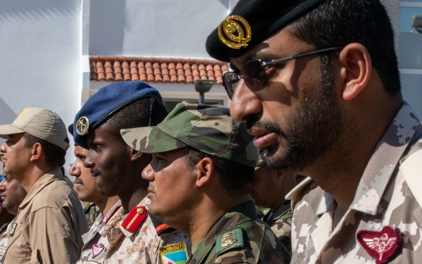 Partners graduate from African Lion Academics in Agadir, Morocco