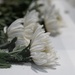 USFK participates in the Commemorative Dean Hess Ceremony, celebrates US-ROK 70-year alliance