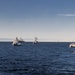 NATO and Sweden sail in formation during BALTOPS 23