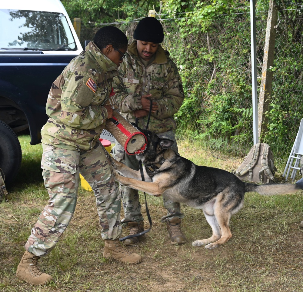 RAF Mildenhall and RAF Lakenheath participate in Suffolk Show
