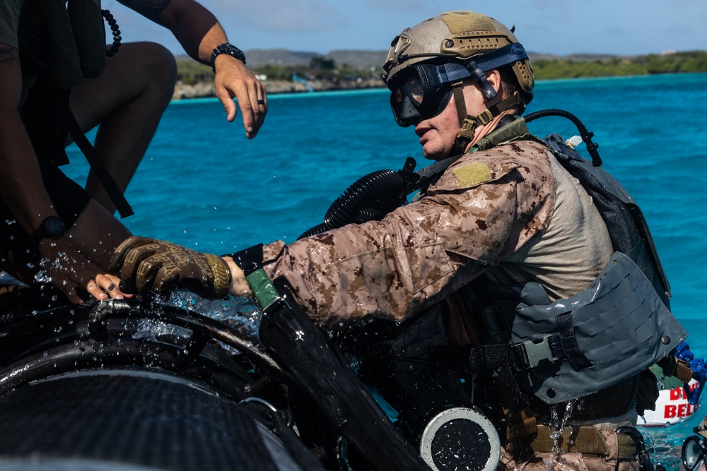 Caribbean Coastal Warrior: Dive Drills