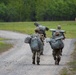 1-509th and 3-509th Infantry Regiments jump together celebrating Geronimo unit lineage