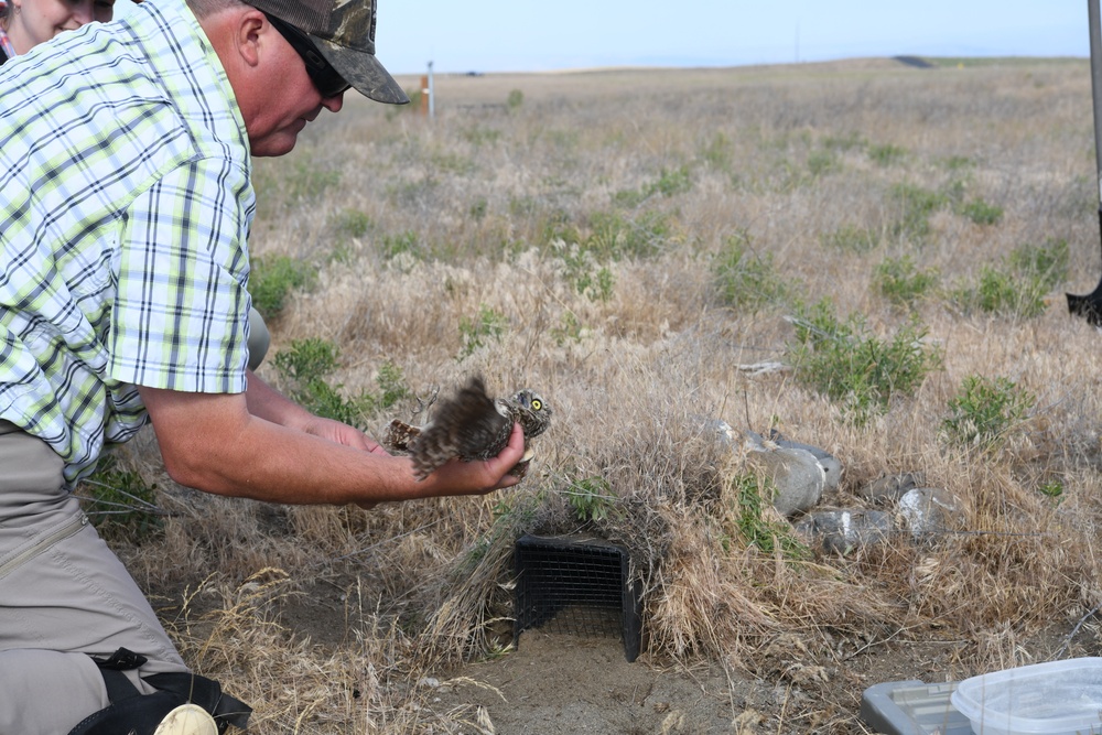 Valuable Avian Knowledge Network Training conducted at Rees Training Center