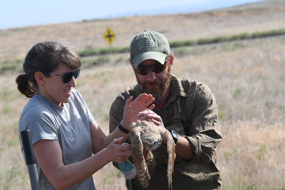 Valuable Avian Knowledge Network Training conducted at Rees Training Center