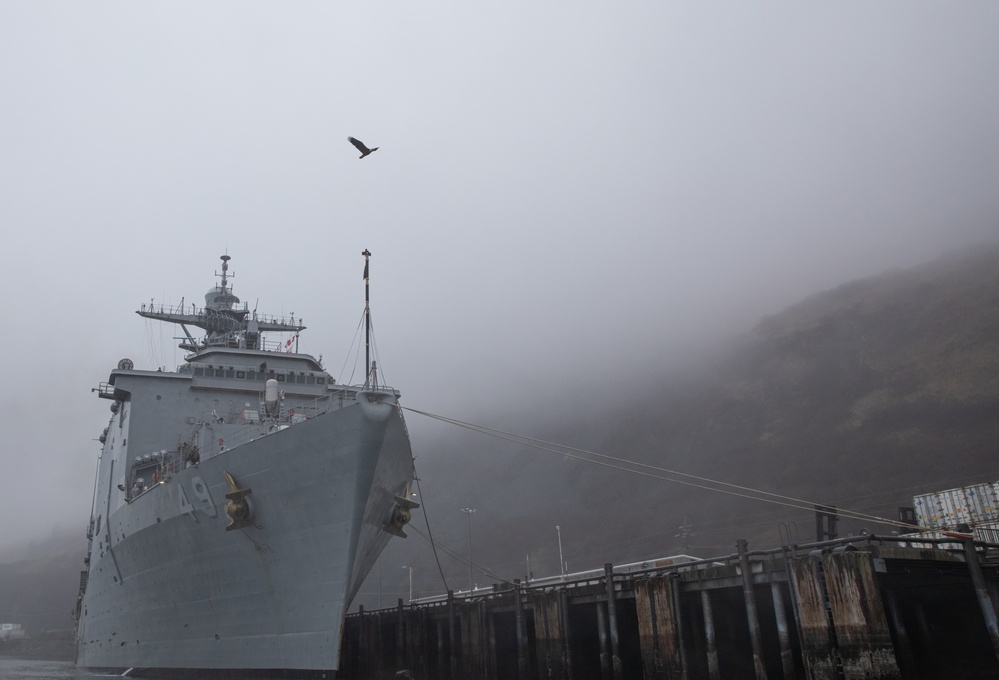 USS Harpers Ferry (LSD 49) moors in Kodiak, Alaska