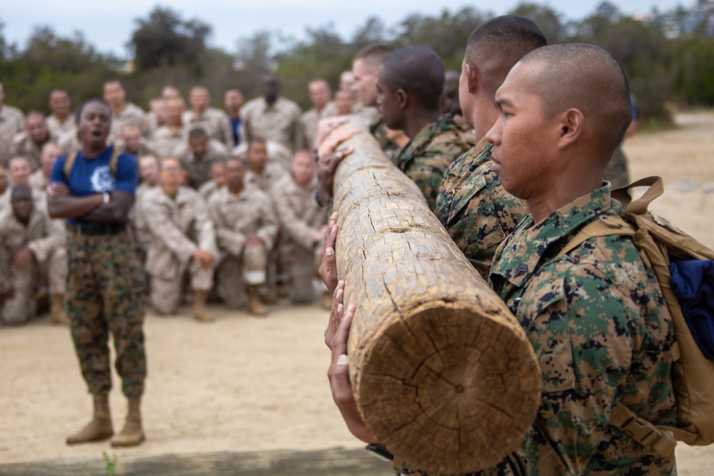 MCRD San Diego Mike Company Log Drills