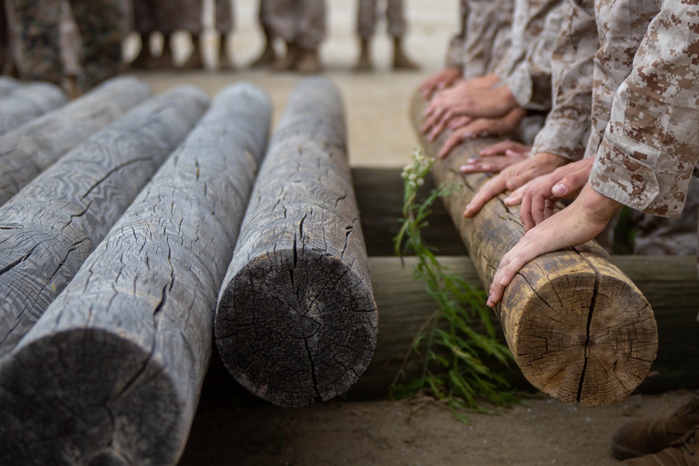 MCRD San Diego Mike Company Log Drills