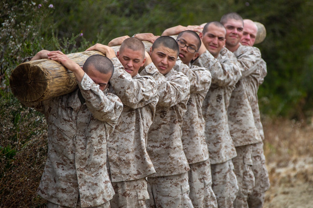 MCRD San Diego Mike Company Log Drills