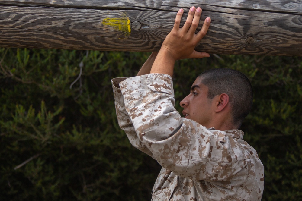 MCRD San Diego Mike Company Log Drills