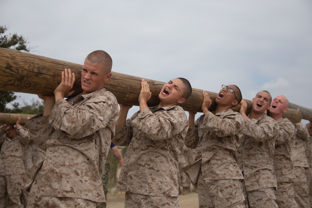 MCRD San Diego Mike Company Log Drills