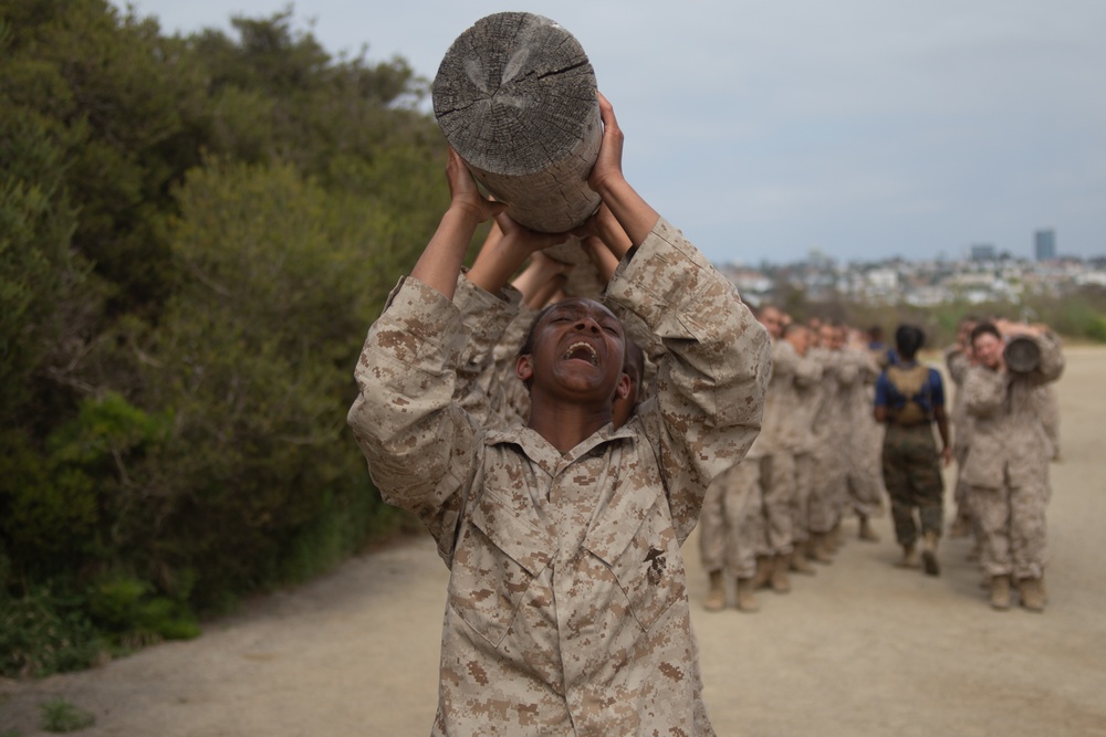 MCRD San Diego Mike Company Log Drills