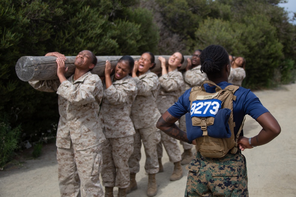 MCRD San Diego Mike Company Log Drills