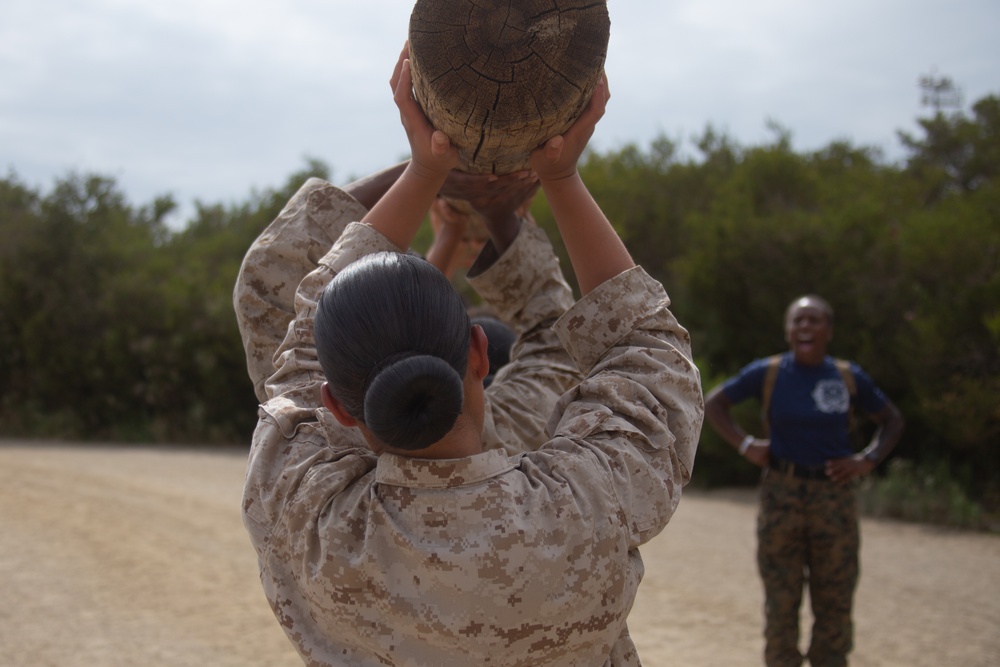 MCRD San Diego Mike Company Log Drills