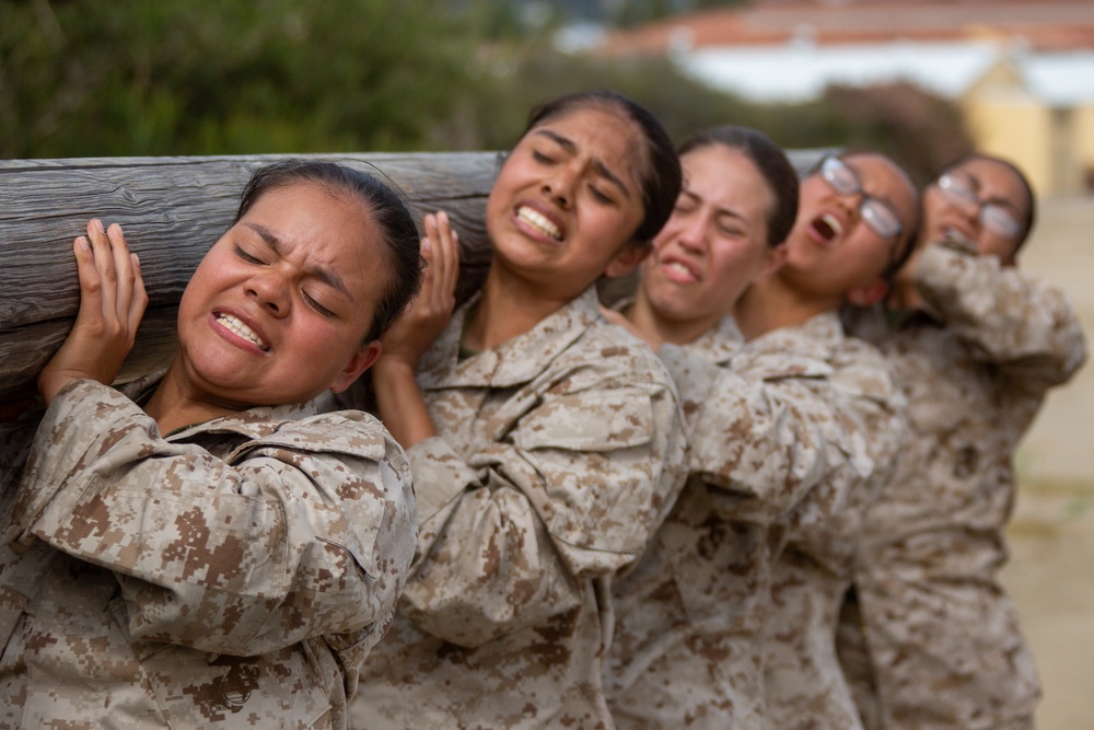 MCRD San Diego Mike Company Log Drills