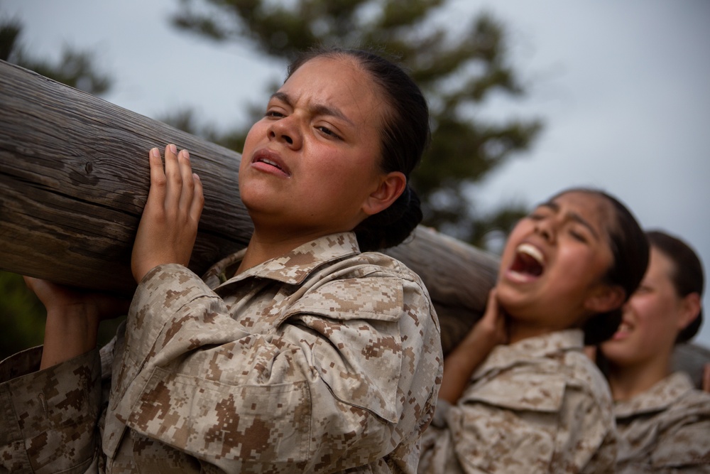 MCRD San Diego Mike Company Log Drills