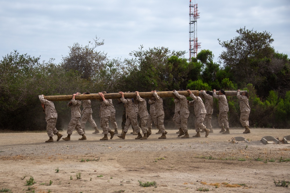 MCRD San Diego Mike Company Log Drills