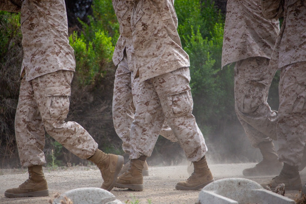 MCRD San Diego Mike Company Log Drills