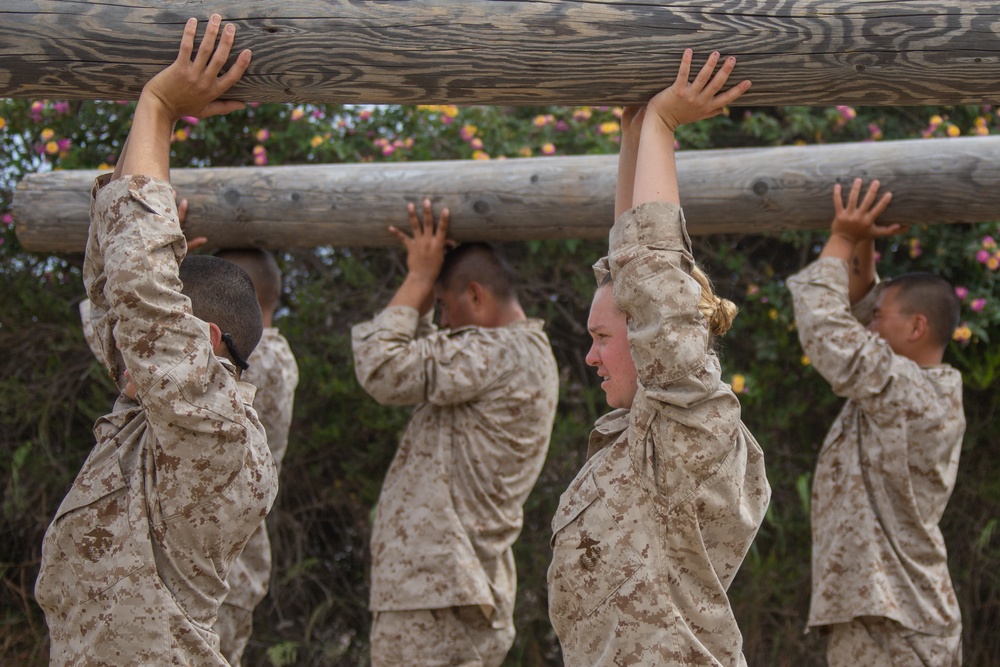 MCRD San Diego Mike Company Log Drills