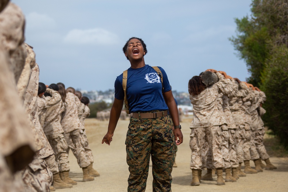 MCRD San Diego Mike Company Log Drills