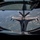 F-16 Fighting Falcon final flight
