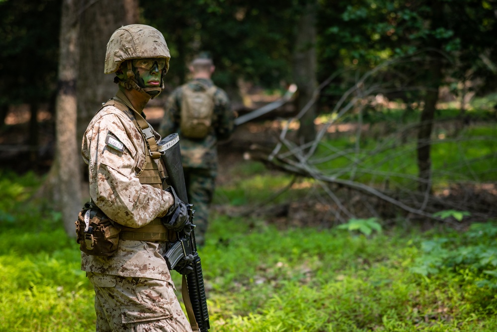 OCS Candidates Conduct the Fire Team Assault Course