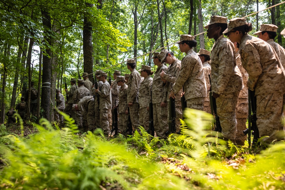 OCS Candidates Conduct the Fire Team Assault Course