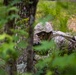 OCS Candidates Conduct the Fire Team Assault Course