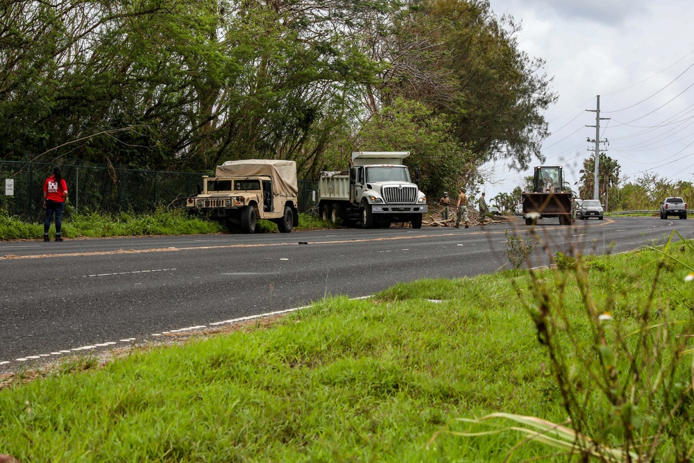 Seabees from Combined Task Force 75 translocate debris felled by Typhoon Mawar in Guam