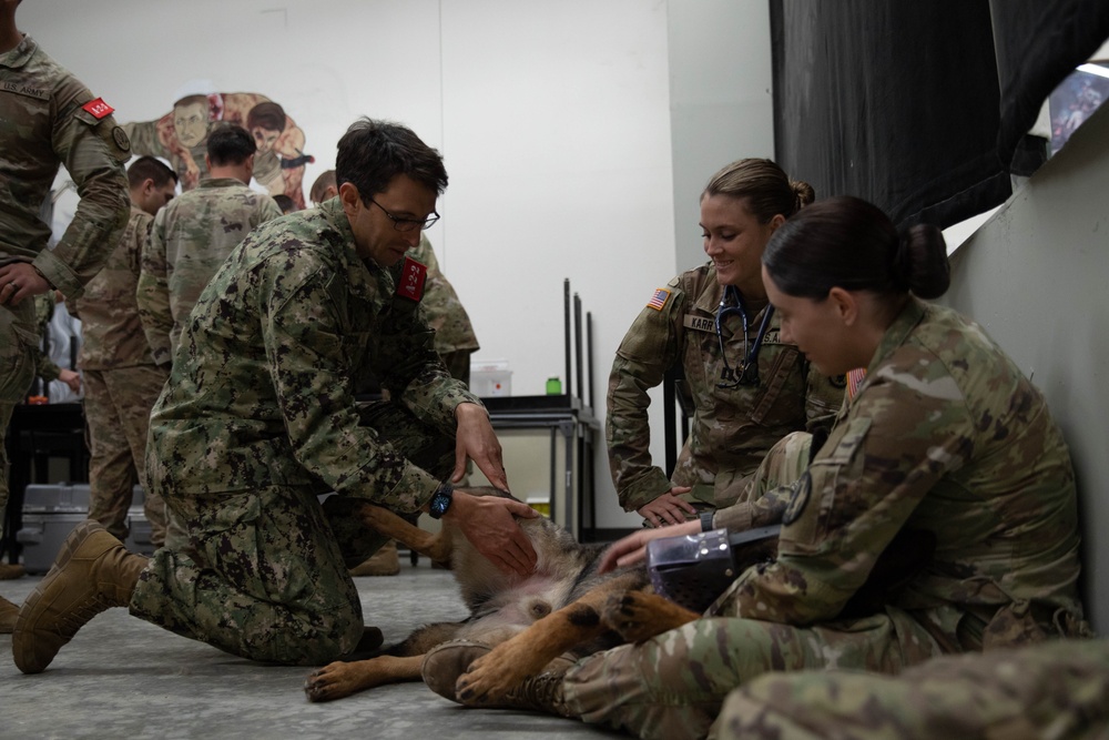 Joint Emergency Medicine Exercise Military Working Dogs Training