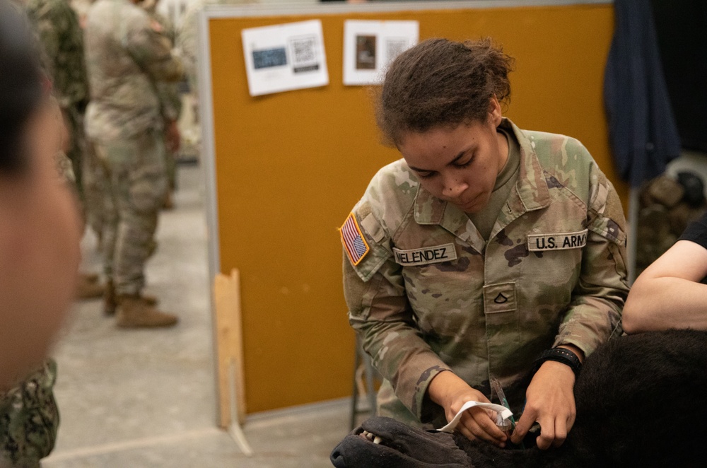 U.S. Army Soldier instructs Canine TCCC on Fort Cavazos.