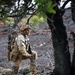 Bronco Thunder 2023: 3-4 CAV, 25th ID Live Fire Exercise