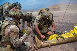 CJTF - HOA, Spanish forces, Djiboutian coast guard work together for exercise Bull Shark 23-2