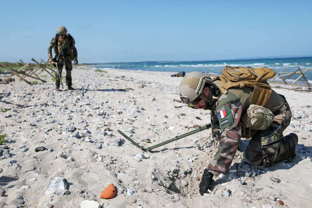 BALTOPS 23 Land Mine Clearing