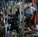 U.S. medical personnel participate in DEFENDER 23 with NATO Allies