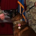 354th SFS MWDs retire