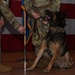 354th SFS MWDs retire