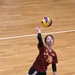 U.S. Army Garrison Japan wins Camp Zama’s intramural volleyball championship