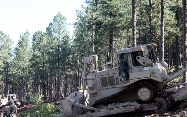 842nd Engineer Company Road Clearing Project