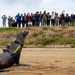 NERE23 Participants Experience Marine Mammal Program Courtesy of NIWC Pacific