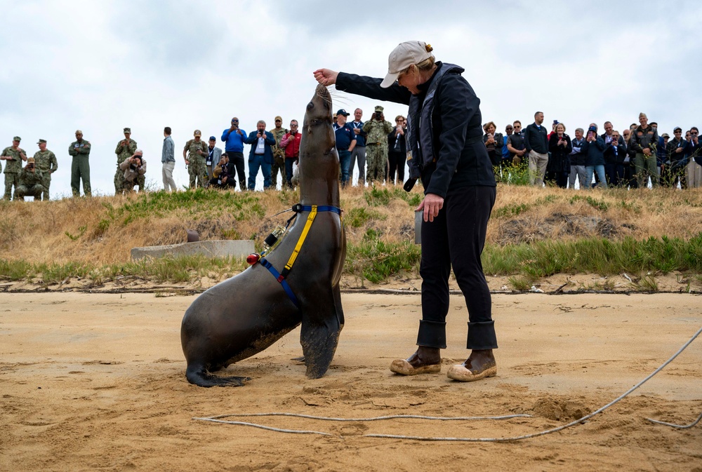 NERE23 Participants Experience Marine Mammal Program Courtesy of NIWC Pacific