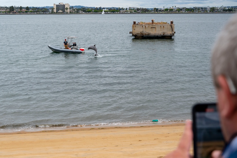 NERE23 Participants Experience Marine Mammal Program Courtesy of NIWC Pacific