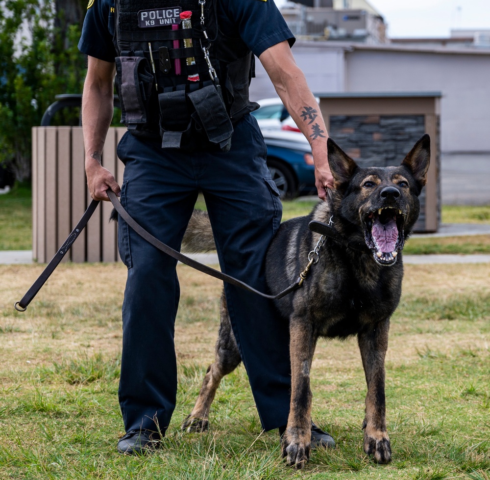 NERE23 Participants Interact With Military Working Dogs