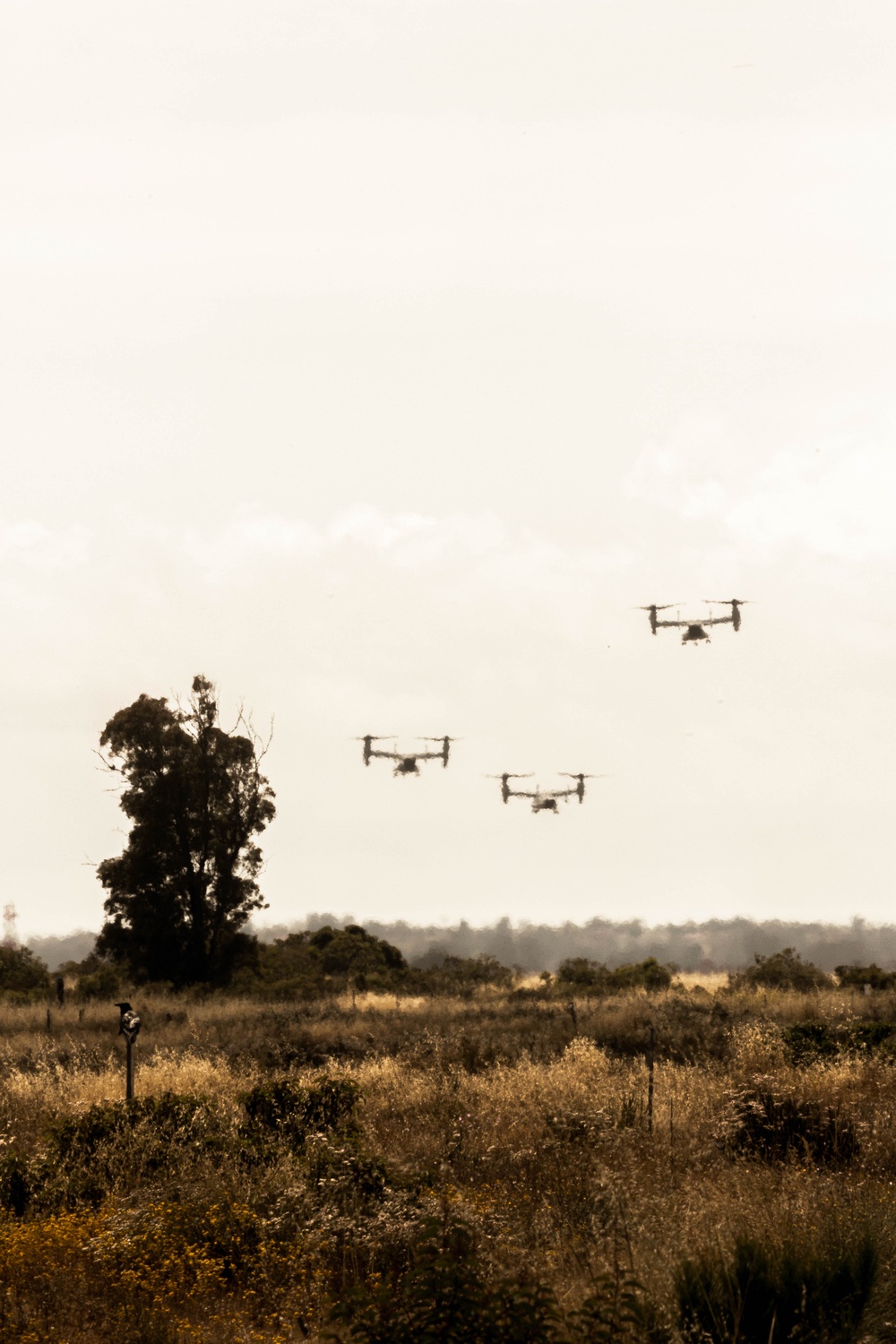 VMM-362 (Reinforced) Deployment Homecoming