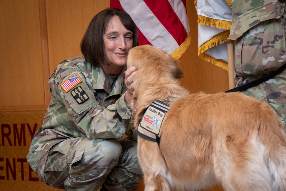 Newly pinned Air Force major accepts his duty with nose bop, paw salute